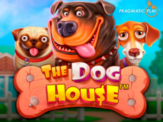 Live casino online. Holiganbet freespins.1